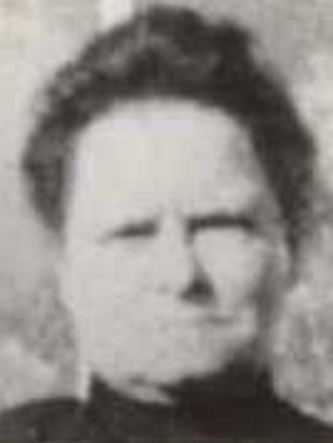 Sophronia Bull (1849 - 1916) Profile